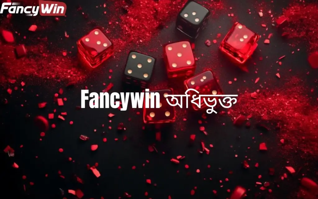 FancyWin অ্যাফিলিয়েট প্রোগ্রাম হল আপনার আয় বাড়ানোর সেরা উপায় 1 affiliate-program